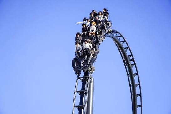 A ROLLER COASTER YEAR: FROM UNCERTAINTY TO A NEW BEGINNING